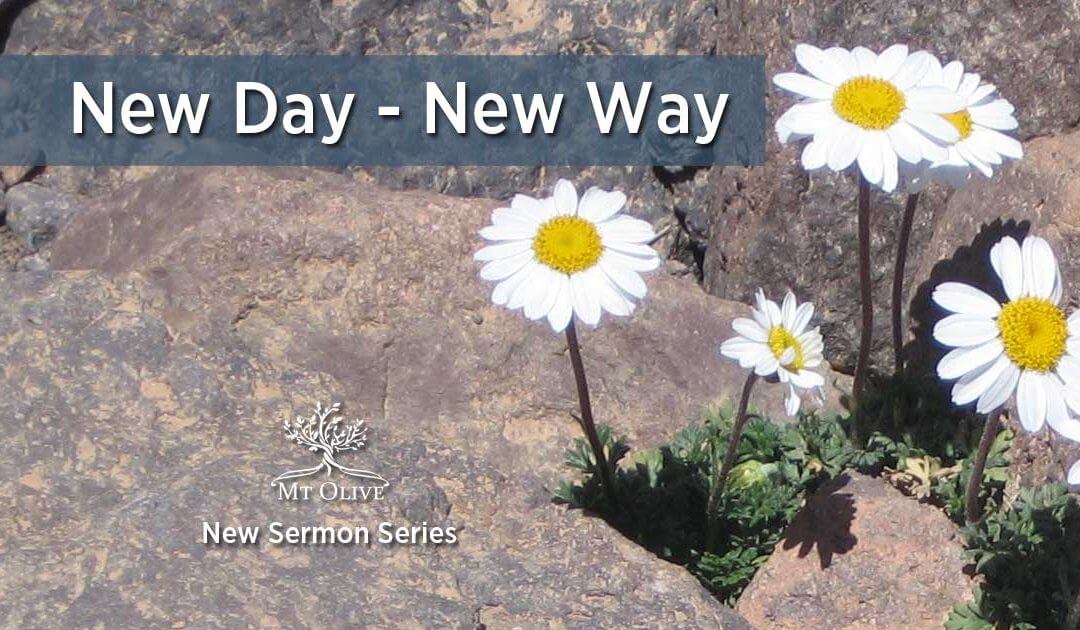 New Day – New Way