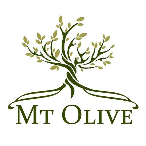 cropped-MtOlive-logo-512px.jpg